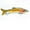 6.4inch C, variant on Fishing Lure CrankBait Swimbait  Hard Bait for Bass Catfish Muskie Trout 3D Eyes Fishing Tools Fishhook Lifelike 5section  6.4inch  Fish
