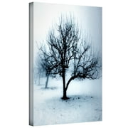 Dean Uhlinger 'Winter Orchard Gallery-Wrapped Canvas Artwork, 18" by 24"