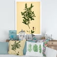 thumbnail image 3 of Designart 'Ancient Plant Life XXV' Traditional Framed Art Print, 3 of 4