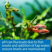 API pH Test Kit for Freshwater Aquariums [Aquarium Water Test Kits, Aquarium Supplies] 3 count