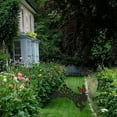 thumbnail image 1 of Backyard Sign Outdoor Lawn Sign Stakes for Easter Decoration Style5, 1 of 7