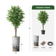 thumbnail image 4 of Artificial Tree in Modern Granite Effect Planter, Fake Ficus Silk Tree for Indoor and Outdoor Home Decoration - 75" Overall Tall (Plant Pot Plus Tree), 4 of 5