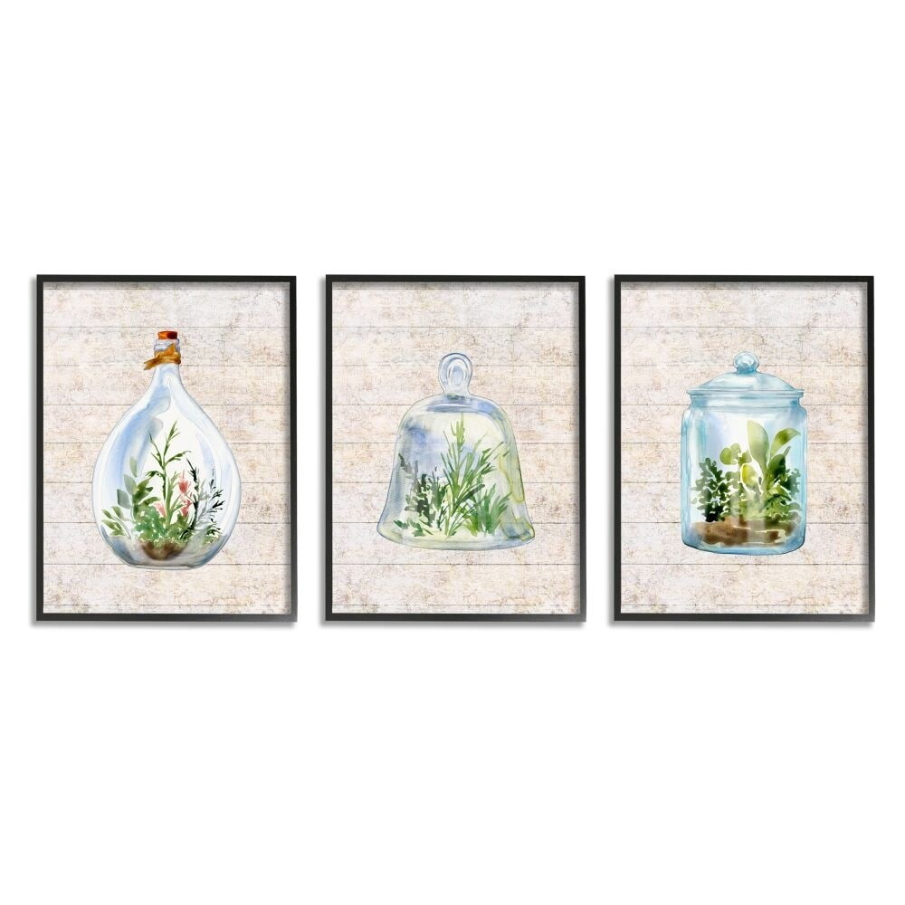 Stupell Industries Enclosed Succulent Jars Rustic Charm Greenery Illustration Framed Wall Art Design by Sherri Buck Baldwin, 3 Piece, 16" x 20", Black Framed