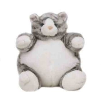tabby cat teddy