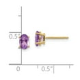 thumbnail image 3 of 14k 6x4 Oval February/Amethyst Post Earrings in 14k Yellow Gold, 3 of 3