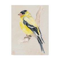 Trademark Fine Art 'Little Bird on Branch III' Canvas Art by Jennifer Paxton Parker
