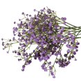 thumbnail image 2 of Babys Breath Artificial Flowers, 2Pcs 5.9inch Gypsophila Faux Flowers, Exquisite Photography Props, Ideal for Wedding Bouquets Party Home Garden Decoration(Purple), 2 of 6