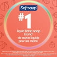 thumbnail image 4 of Softsoap Limited Edition Red Apple Liquid Hand Soap, Kitchen or Bathroom Hand Soap, 221 ml Pump Bottle, 4 of 11