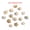 #16 Crinoid Star FossiI (0.5-0..., variant on HOOUN 1x Mini Natural Teaching Specimen Teeth Brachiopod Spines Ammonites Plant-#19 Sea Urchins (3-4cm)-1PC (Random Pick)