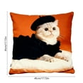 thumbnail image 3 of Funda de almohada corta de felpa de poliéster con diseño de gatos | Funda de cojín decorativa para sofá de 45 x 45 cm sin relleno | Decoración para el hogar con estampado de gatos multicolor, 3 of 6