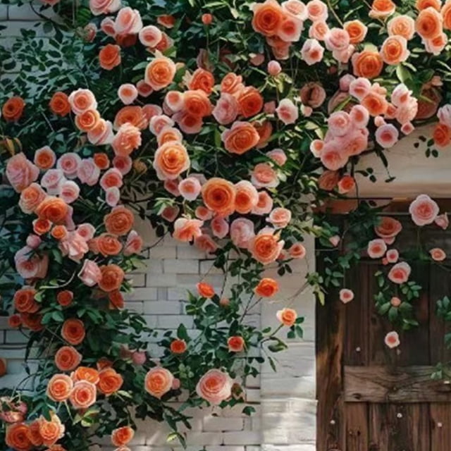 Climbing Rose Seeds for Planting Outdoors, Mixed Climbing Vine Rose Flower Seeds for All Seasons (F,500PC)