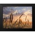 thumbnail image 2 of Deiter, Lori 24x19 Black Modern Framed Museum Art Print Titled - Summer Field, 2 of 5