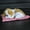 A, variant on Homesteed Waggy Dog Stuffed Animal Interactive Sleeping Puppy Toy on Pad with Woof Sound Perfect Petzzz Decor for Kids Birthday