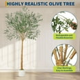 thumbnail image 2 of QinaQin Árbol de olivo artificial realista con frutos y maceta blanca, planta decorativa para sala, oficina o hogar, ideal como detalle de decoración elegante, 2 of 7