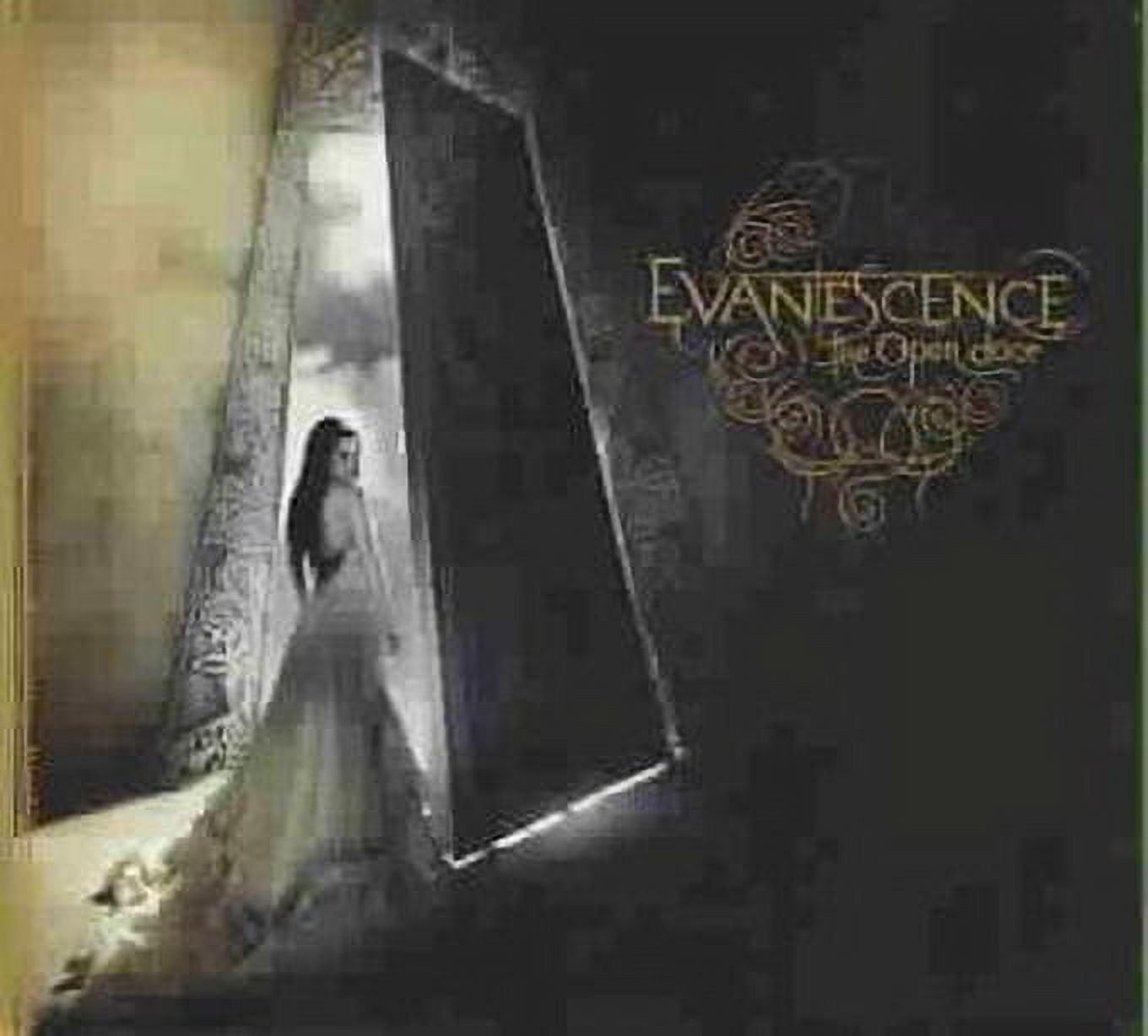 Evanescence - The Open Door - Music & Performance - CD Evanescence - The Open Door - Music & Performance - CD