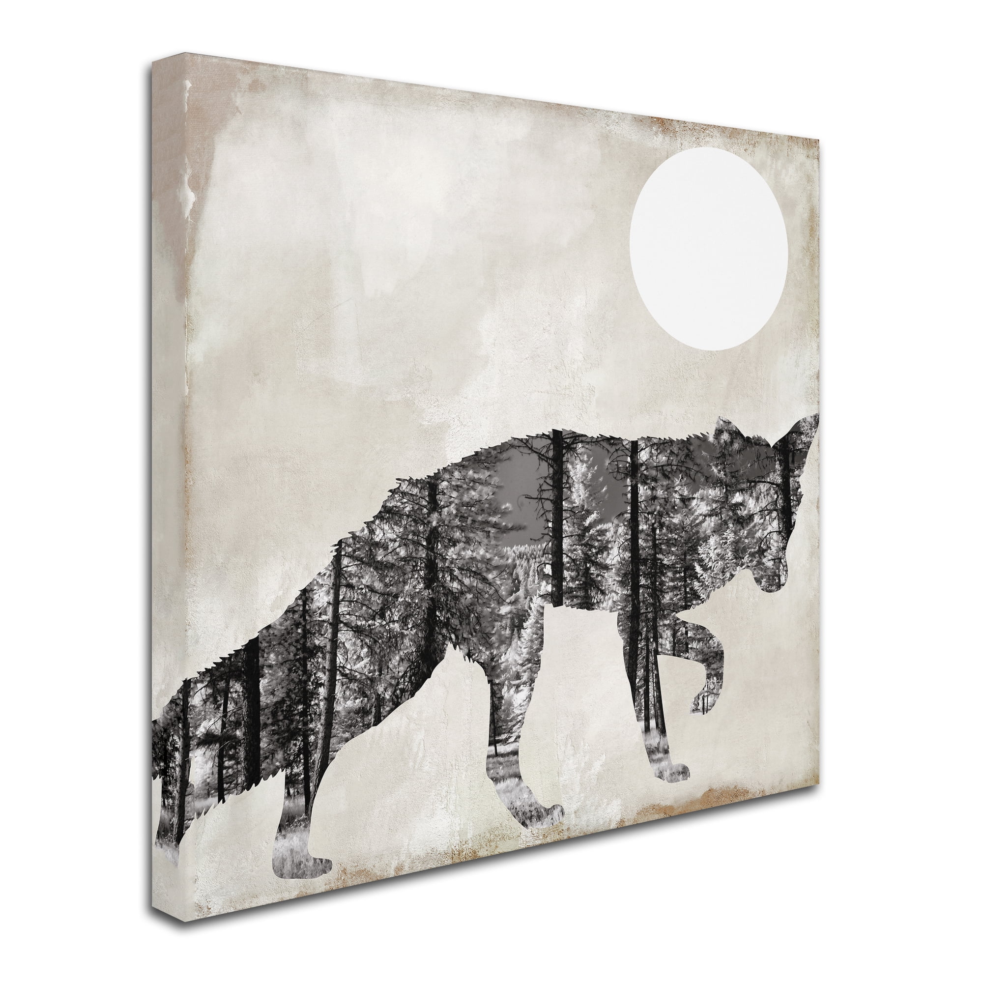 Trademark Fine Art "Going Wild VII" Canvas Art by Color Bakery