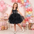thumbnail image 2 of JCCXIN Toddler Baby Girls Dress Dresses Party Tulle Tutu Birthday Pleated Ball Gown Sparking Sequins Solid Color Spaghetti Strap V-Neck Casual Summer Daily Wear Cute Sundress,Black,10-12 Years, 2 of 5