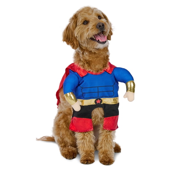 Vibrant Life Halloween Superhero Costume for Dogs, Multicolor, M