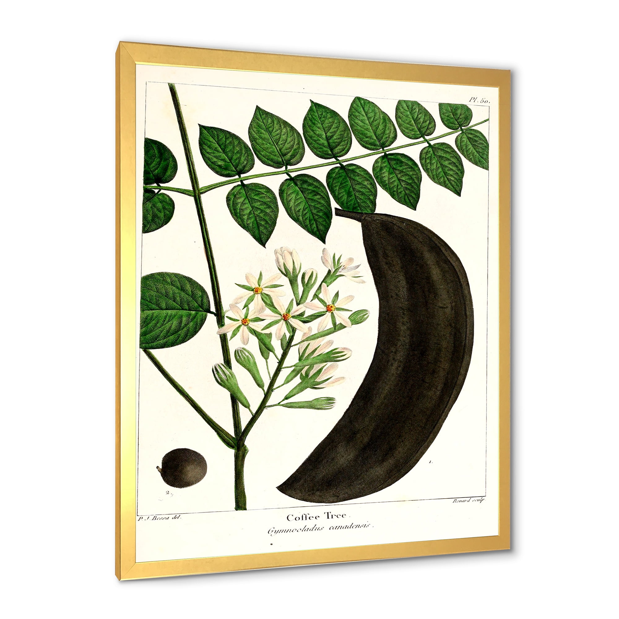 Designart 'Ancient Plant Life IX' Traditional Framed Art Print