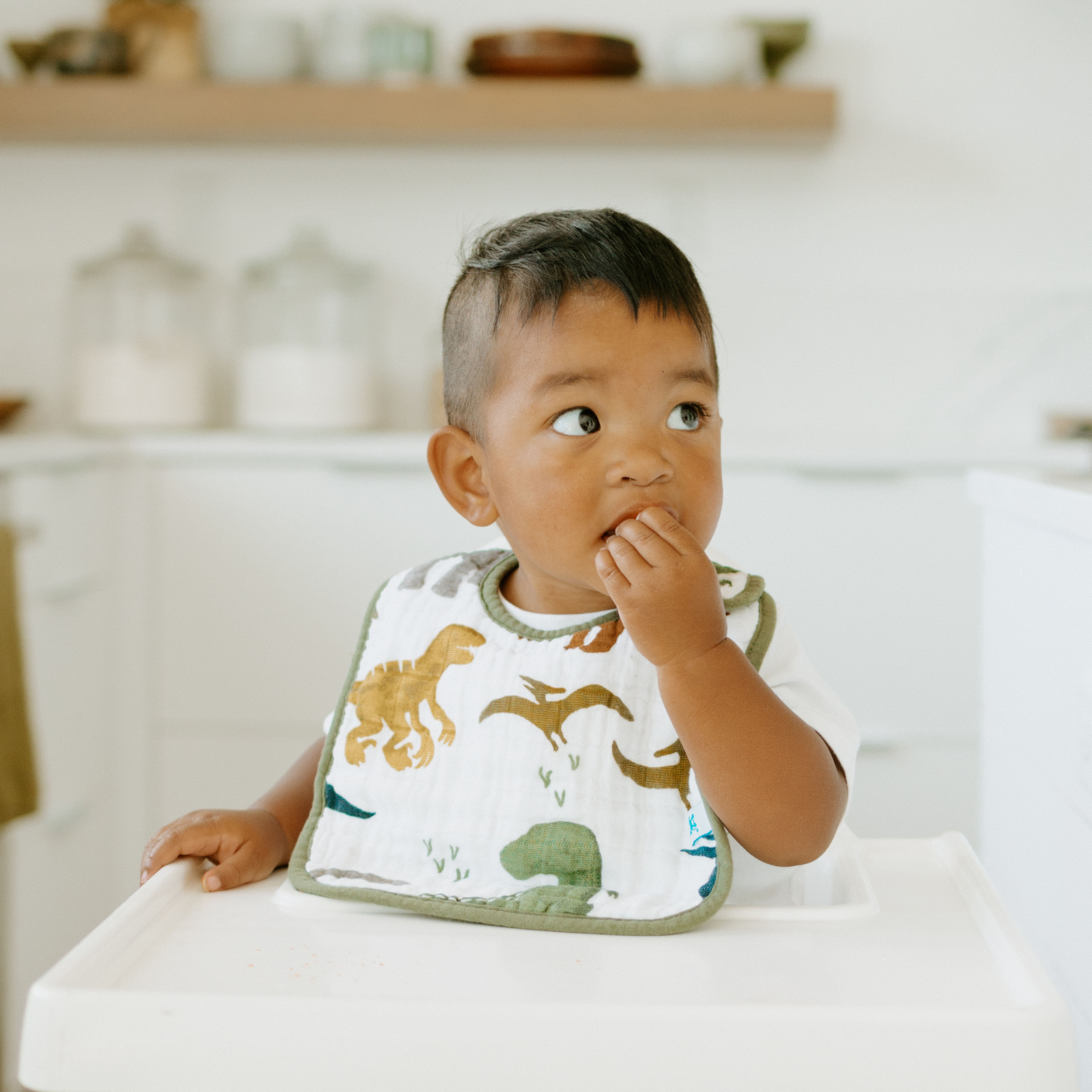 Cotton Muslin Classic Bib 3pk - Dino Friends