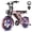 Pink+Black, variant on Tamobyke T16 Electric Bike for Teens & Adults, 750W 28MPH, 16" x 4.0" Fat Tire E Mountain Bike, 48V 15.6Ah, Class 3,UL2849 Certified