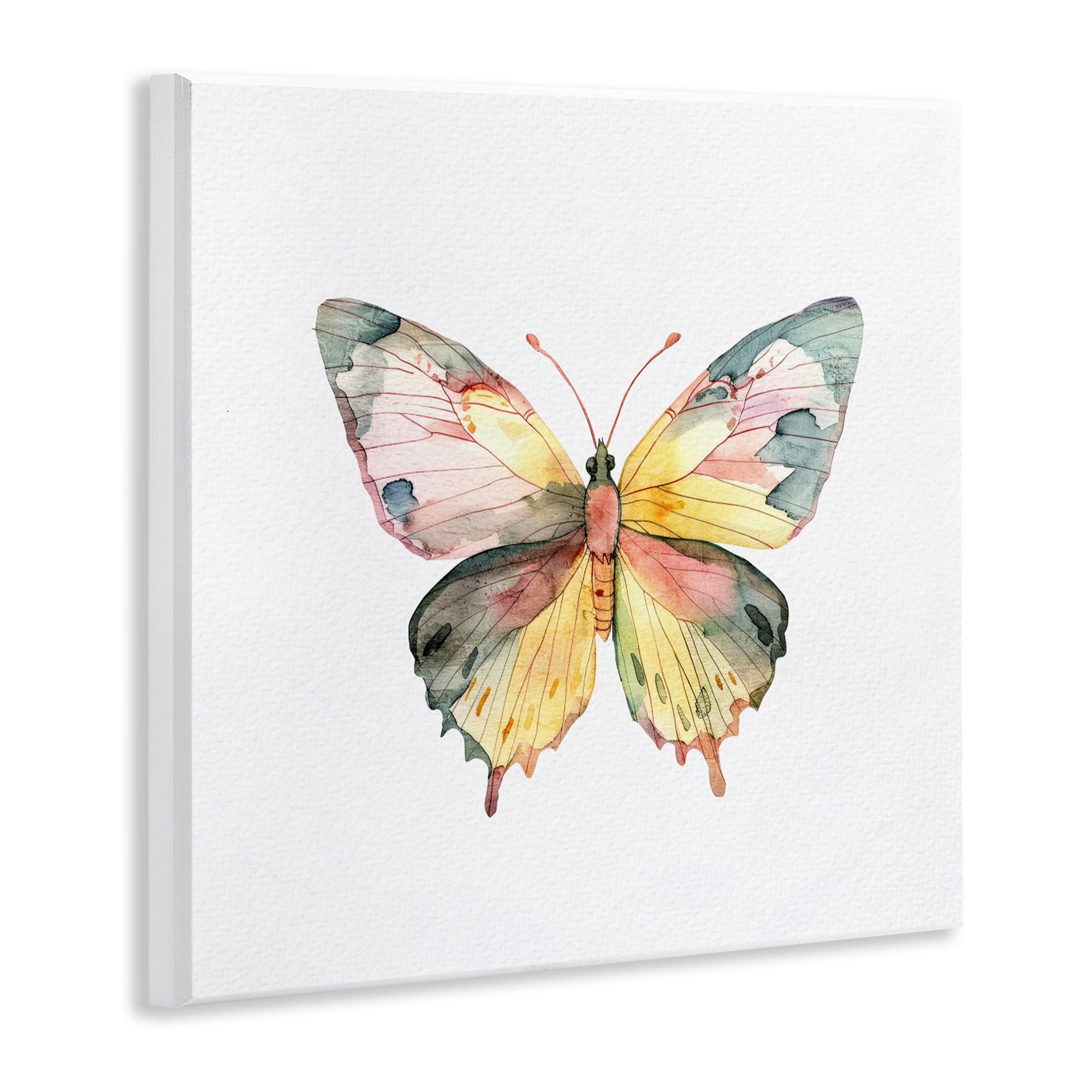 Stupell Industries Watercolor Butterfly Subtlety Wall Plaque Art, design by Kim Allen