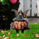 thumbnail image 1 of Calabaza de bruja alada, decoración acrílica de Halloween con enchufe de tierra para césped exterior o decoración de plantas en maceta de interior Yulucky, 1 of 7