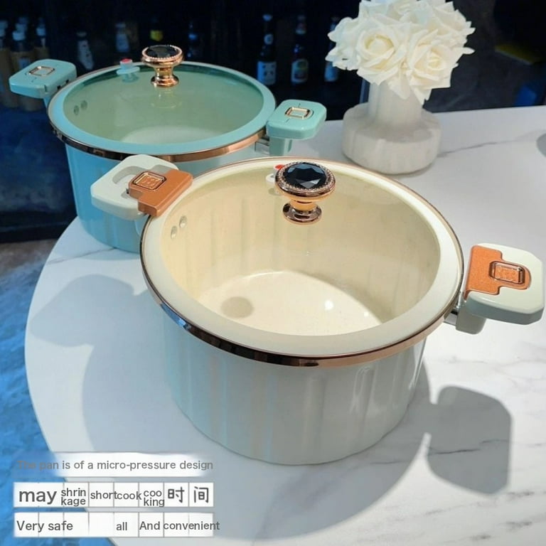 Roman induction cooker discount