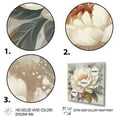 thumbnail image 3 of DESIGN ART Designart "White Grey Peony Blooms In Motion Iii" Floral Peony Wall Art Prints 24 in. wide x 24 in. high, 3 of 5
