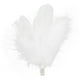 thumbnail image 1 of WORGEOUS Pinza De Pelo Estética Para Niñas Accesorios Para El Cabello De Ballet Esponjosos Con Tocado De Pluma De Cisne Para Fiesta De Baile Y Accesorios Para El Cabello De Novia De Boda, 1 of 9