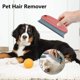 thumbnail image 4 of 3 cepillos para quitar el pelo de mascotas, cepillo para quitar pelusas para perros y gatos, peine de limpieza para sofá, alfombra, ropa, mantas, asiento de coche Namotu DLM165, 4 of 6
