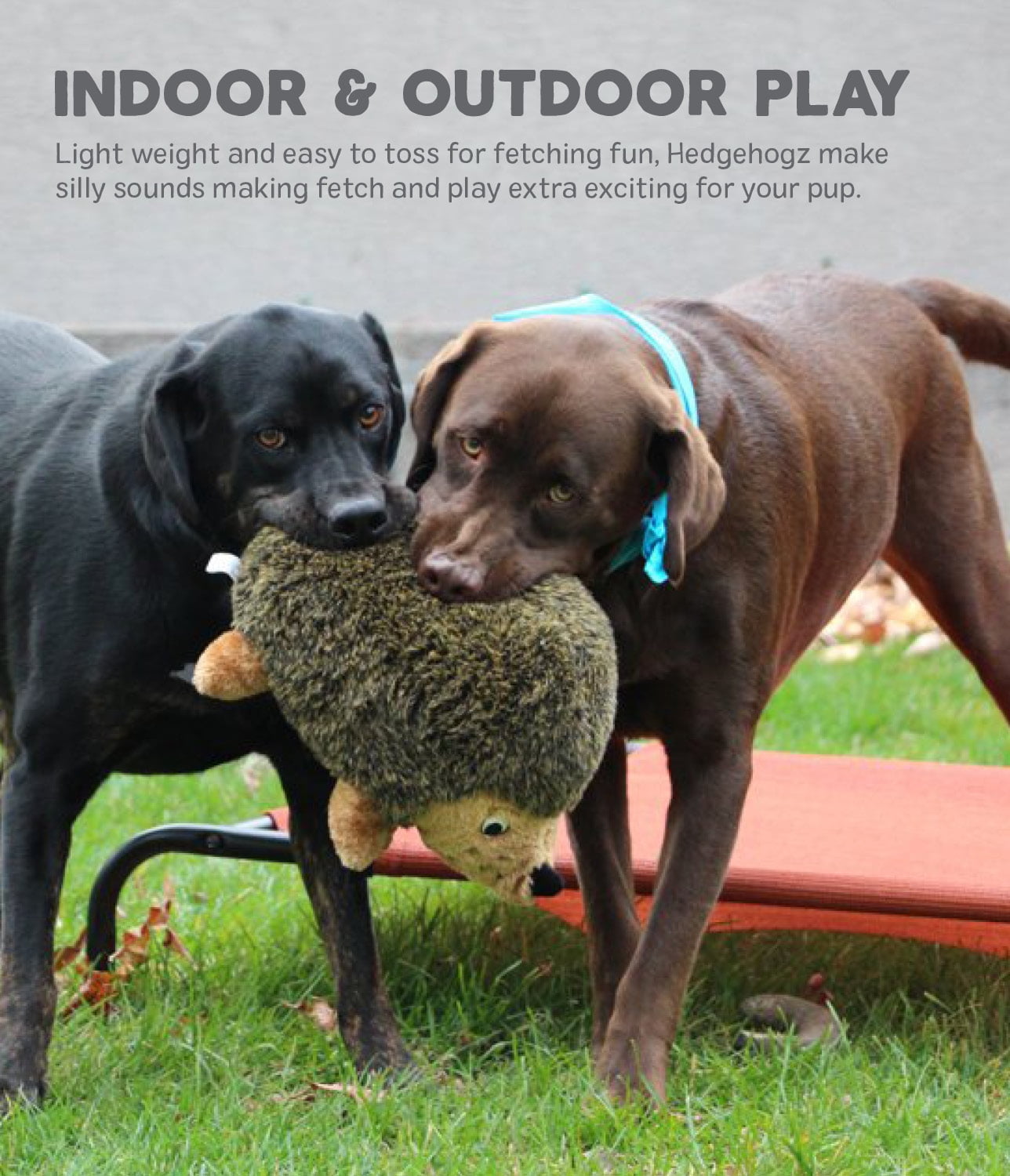 Grunting dog toy cheap