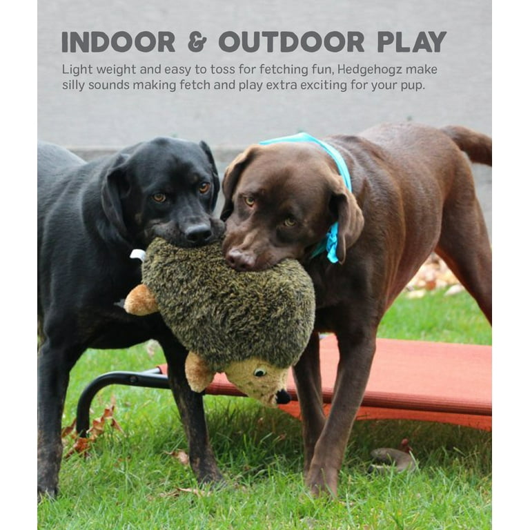 Large hedgehog dog outlet toy