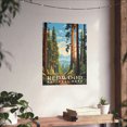 thumbnail image 3 of ELNEIT - Redwood National Park Poster, Unframed Matte Paper, S06, 3 of 4