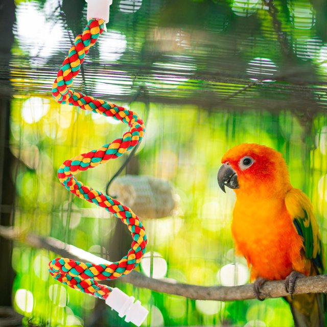 FENGGUIQU 2Ud Bird Cage Stand Multiusos Para Loro Con Cuerda Flexible Y Mordida Resistente