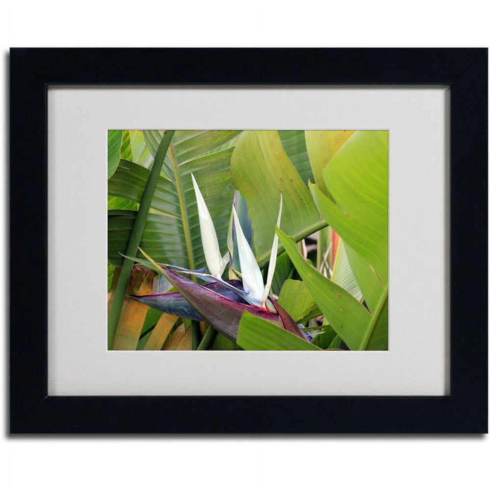 Trademark Fine Art "Paradise 2" Matted Framed Art by Patty Tuggle, Black Frame