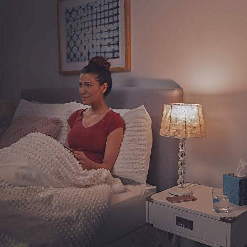 Bulbrite Solana Edison WiFi LED Smart Bulb, 60 Watt Equivalent, ST18 90  CRI Clear Filament Dimmable Light Bulb, Compatible with Alexa and Google  Home, 2 Pack