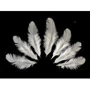 1 Pack - Natural White Hen Saddle Feathers 0.10 Oz.