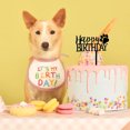 thumbnail image 3 of serony Happy Birthday Dog Pet Cake Plaque, 3 of 9