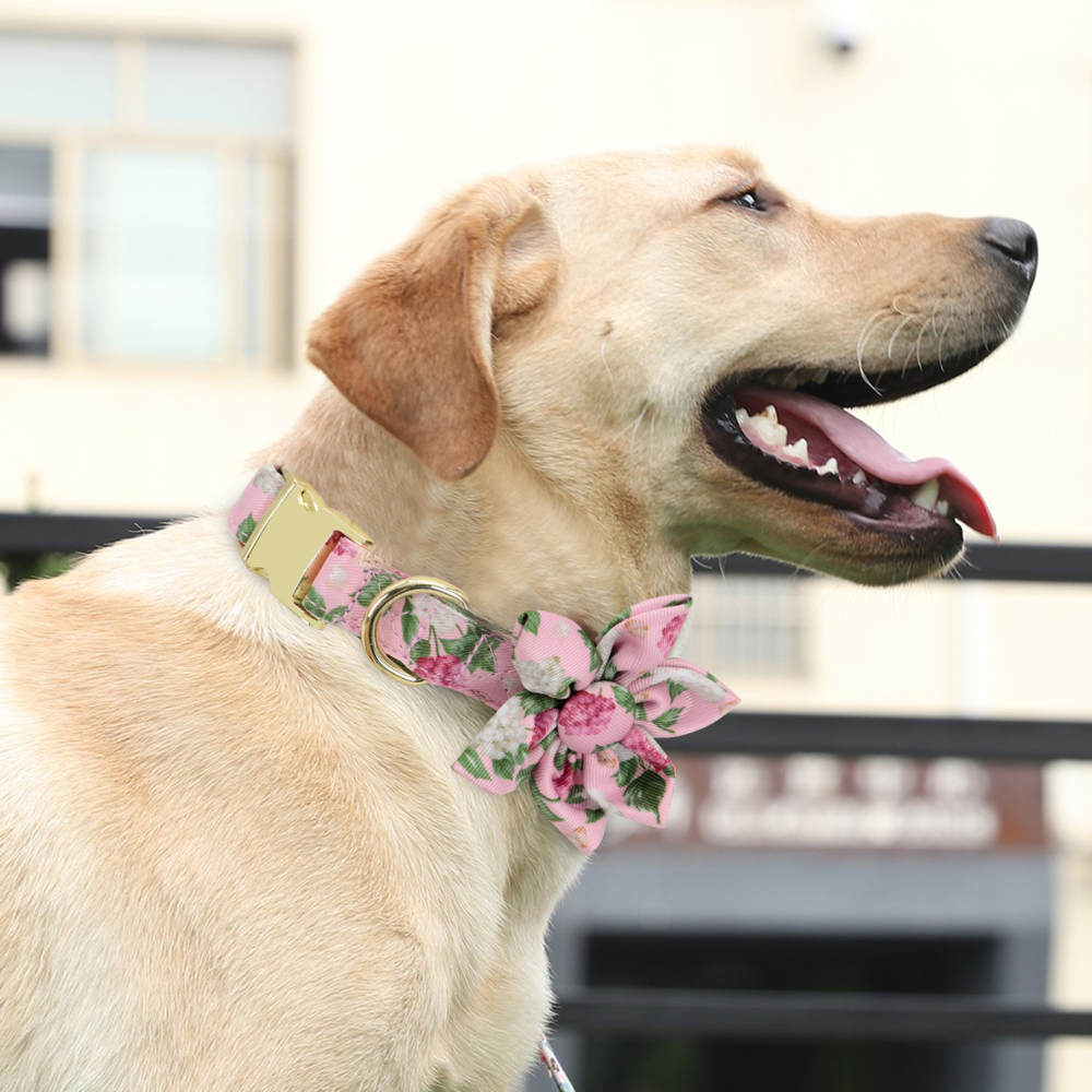 Beirui Cute Girl Dog Collars for Small Medium Large Dogs, Multiple Floral  Patterns Female Pet Dog Collars with Flower for Wedding Holiday(M:Neck