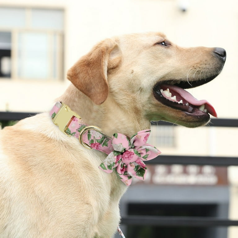 Girl Dog Collars for Puppies Small Medium Large Dogs, Cute Blue Dog Collar  for Female Dogs with Adjustable Flower and Bow tie with Dog Tag & Strong