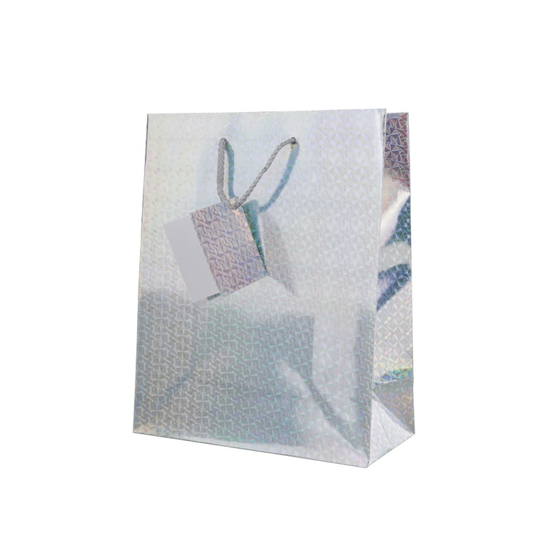 Paper Jewelry Bags 6 x 9 Silver (Pack of 100) | wholesale jewelry gift bags  | Where to find Jewelry bags online