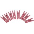 thumbnail image 1 of 100 Piezas Multicolor de de Pinza para Fiestas, Manualidades, Regalos o s, Duchas de Bodas, Baby Showers 3.5cm rosa BLESIY Pinzas de madera, 1 of 7