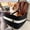 Black & Brown, variant on PETSFIT Dog Booster Car Seat for Small/Medium Dogs Up to 35 lbs – Patented Safety System, 6" Memory Foam Pet Booster Car Seat, Fully Detachable and Washable,2 Storage Pockets (Black & Grey)