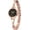 Rose gold/black, variant on Fashion Ladies Quartz Watches Elegant Watch for Women Waterproof Rose Gold Stainless Steel Strap Luxury Women Bracelet Watch