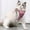 Pink, variant on Cat Harness and Leash Set for Walking, Escape Proof Soft Adjustable Vest Harnesses for Cats, Easy Control Breathable Striped Jacket,Step-in Comfortable Outdoor Vest