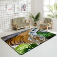thumbnail image 4 of Crawling Indoor Carpet Play Mat Siberian Tiger for Living Room Bedroom Educational Nursery Floor Mat Area Rugs 72x48in, 4 of 6
