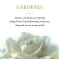 thumbnail image 3 of DecorRack 30 Pack Gardenia Scented Tea Lights, Long Burning Small Candles for Home Decor, Aromatherapy, Spa, Weddings and Parties, 3 of 5