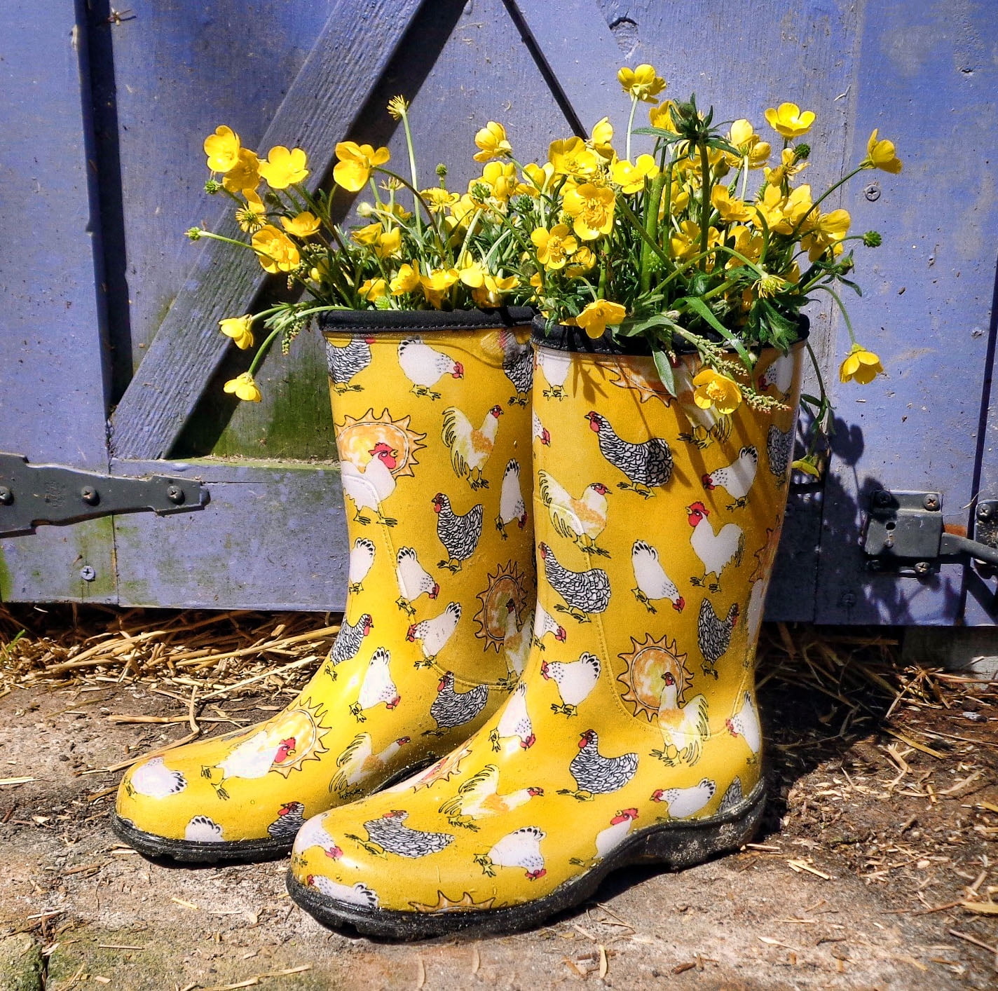 women's rain boots with chickens on them