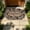 Ellipse, variant on PLPPYFS Stone Texture Welcome Doormat, Absorbent Non-Slip Backing Front Door Mat, Heavy Duty Stain Resistant Entryway Rug Traps Dirt Mud for Indoor Outdoor Home Entrance